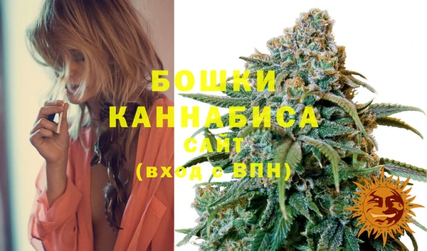 прущие грибы Балахна