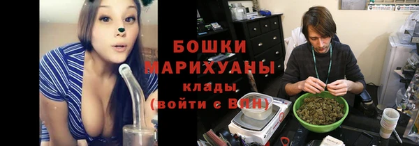 прущие грибы Балахна