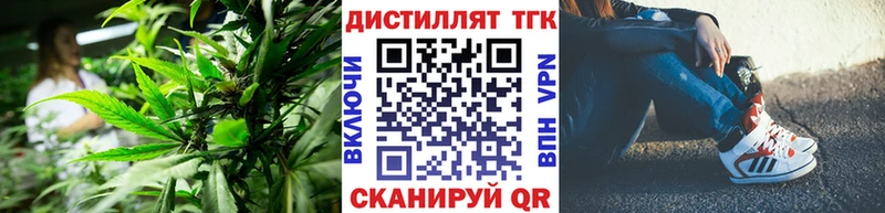 ТГК Wax  Вольск 