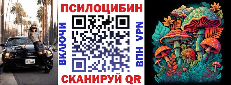 Псилоцибиновые грибы мицелий где найти наркотики Вольск