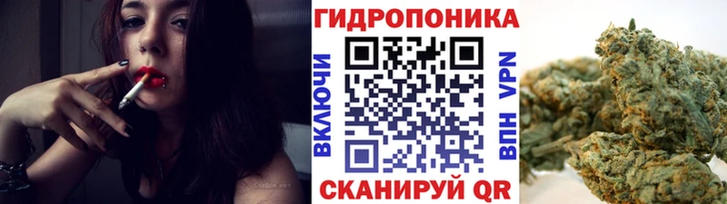 Конопля гибрид  Вольск 